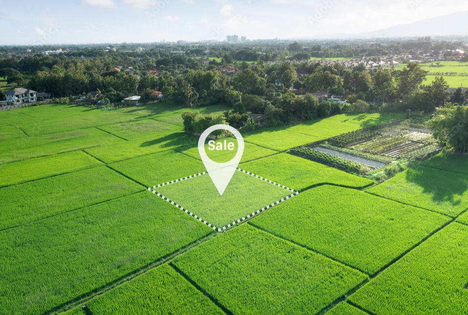 williamson-county-tn-vacant-parcel.jpg Rural acreage property in Williamson County Tennessee available for acquisition